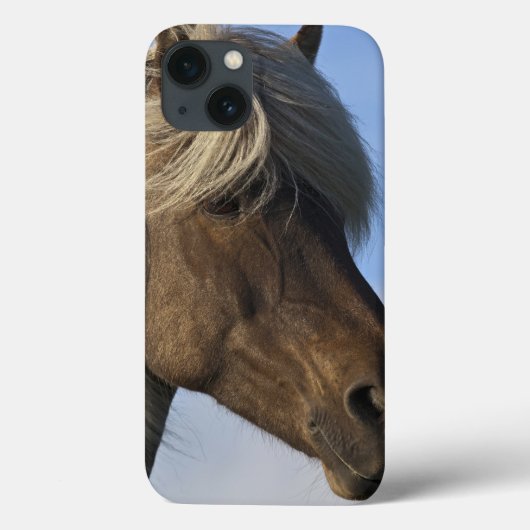 アイスランドの馬、アイスランドの頭部 Case-Mate iPhoneケース (裏面)