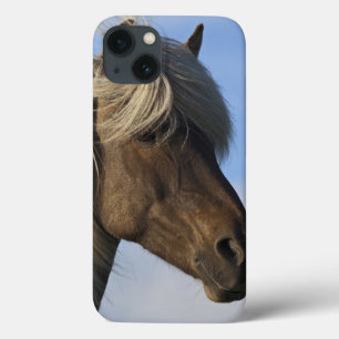 アイスランドの馬、アイスランドの頭部 iPhone 13ケース