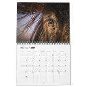 アイスランドの馬 カレンダー (2月 2027)
