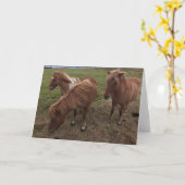 アイスランドの馬 カード (黄色い花)