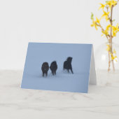 アイスランドの馬 カード (黄色い花)