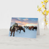 アイスランドの馬 カード (黄色い花)