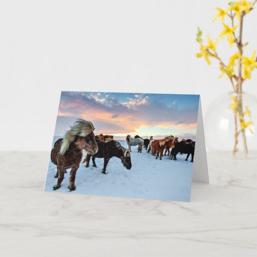 アイスランドの馬 カード (黄色い花)