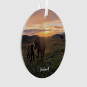 アイスランドの馬 – セラミックオーナメント オーナメント (正面)