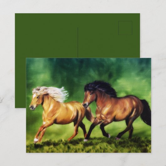 アイスランドの馬 ドリームチーム ポストカード (正面/裏面)
