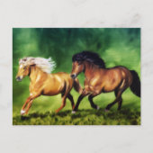 アイスランドの馬 ドリームチーム ポストカード (正面)