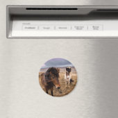 アイスランドの馬 マグネット (インサイチュ (食洗機))