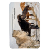 アイスランドの馬 マグネット (縦)