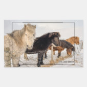 アイスランドの馬 長方形シール (正面)