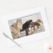 アイスランドの馬 長方形シール (封筒)