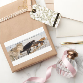 アイスランドの馬 長方形シール