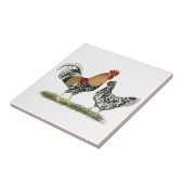 アイスランドの鶏 タイル (側面)