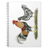 アイスランドの鶏 ノートブック (正面)