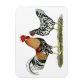 アイスランドの鶏 マグネット (縦)