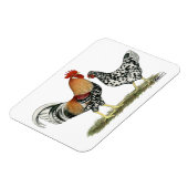 アイスランドの鶏 マグネット (左側)