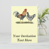 アイスランドの鶏 招待状 (スタンド正面)