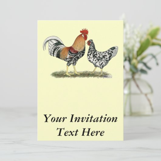 アイスランドの鶏 招待状 (スタンド正面)