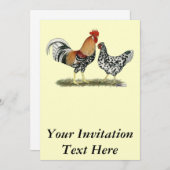 アイスランドの鶏 招待状 (正面/裏面)