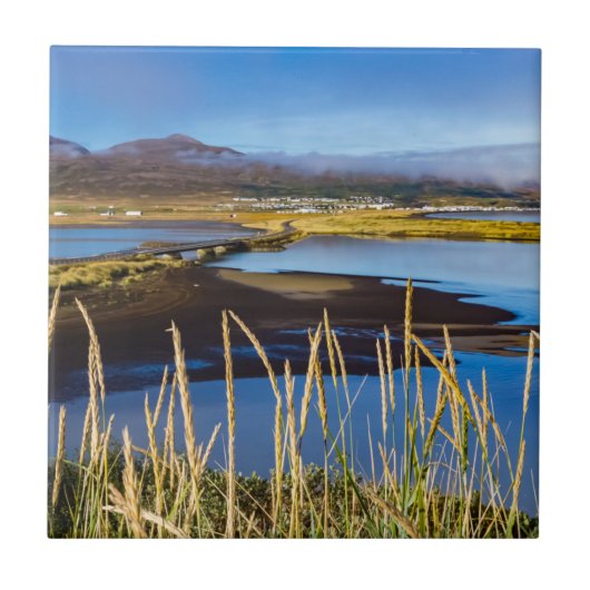 アイスランドのSaudarkrourとSkagafjordurを見る タイル (正面)