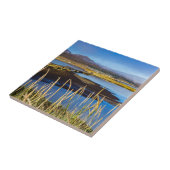 アイスランドのSaudarkrourとSkagafjordurを見る タイル (側面)