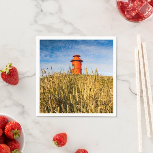 アイスランドのStykkkisholmurにある灯台 スタンダードカクテルナプキン (インサイチュ)