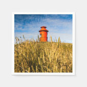 アイスランドのStykkkisholmurにある灯台 スタンダードカクテルナプキン (正面)