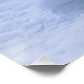 アイスランドアークティックキツネ ポスター (コーナー)