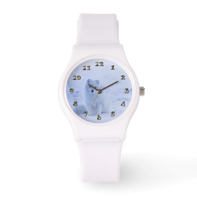 アイスランドアークティックキツネ 腕時計 (正面)