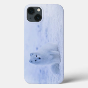 アイスランドアークティックキツネ iPhone 13ケース
