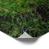 アイスランドグリーンハウス ポスター (角)