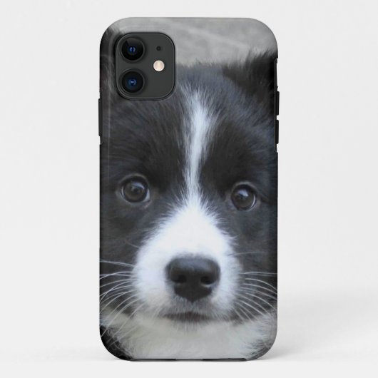 アイスランドシェプドッグ2014年~0804年 Case-Mate iPhoneケース (裏面)