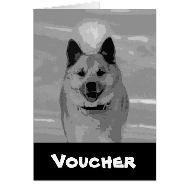 アイスランドシェプドッグ20151203 (正面)