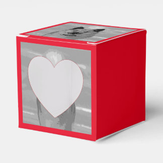 アイスランドシェプドッグ20151203 フェイバーボックス