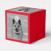 アイスランドシェプドッグ20151203 フェイバーボックス (裏面サイド)