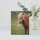 アイスランドフォール ポストカード (スタンド正面)