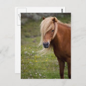 アイスランドフォール ポストカード (正面/裏面)