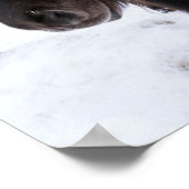 アイスランドホースポートレート，アイスランド ポスター (角)