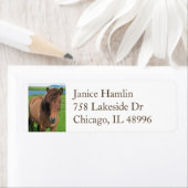 アイスランドホース差出人住所ラベル ラベル (インサイチュ)