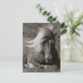アイスランドホース ポストカード (スタンド正面)