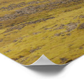 アイスランドポスター ポスター (角)