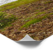 アイスランドポスター ポスター (角)