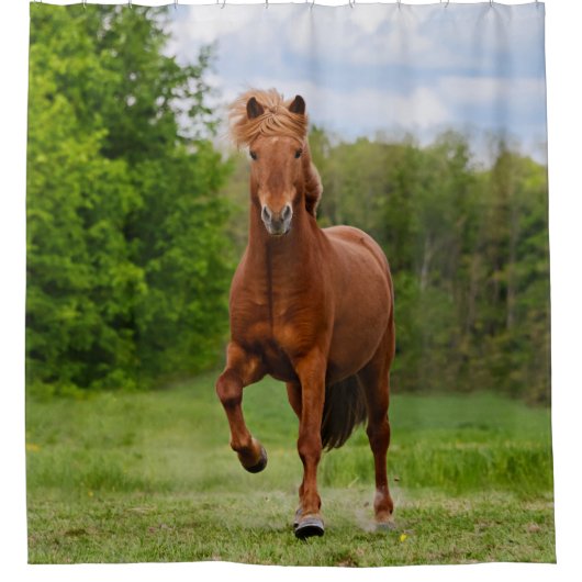 アイスランドポニーテおもしろいルト写真馬好き- Tub シャワーカーテン (正面)