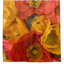 アイスランドポピー