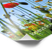 アイスランドポピー フォトプリント (角)