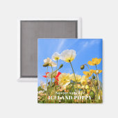 アイスランドポピー マグネット (正面/裏面)