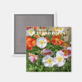 アイスランドポピー マグネット (正面/裏面)