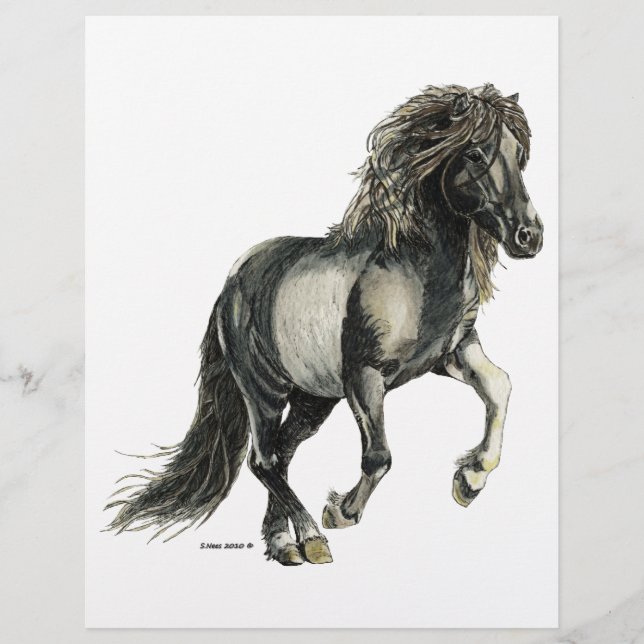 アイスランドマーブラナ (正面)