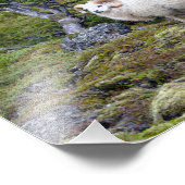 アイスランドラムアート フォトプリント (角)