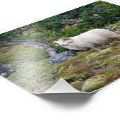 アイスランドラム フォトプリント            (角)