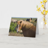 アイスランド北東部のアイスランドの馬 カード (黄色い花)